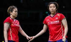 九游娱乐网页-日本队碾压印尼队，辛杜刷新纪录