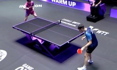 九游娱乐-包含波兰乒乓球队碾压德国乒乓球队，张本智和打破历史纪录的词条