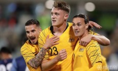 九游体育官方入口-斯托克城主力伤退，降级危机愈演愈烈的简单介绍