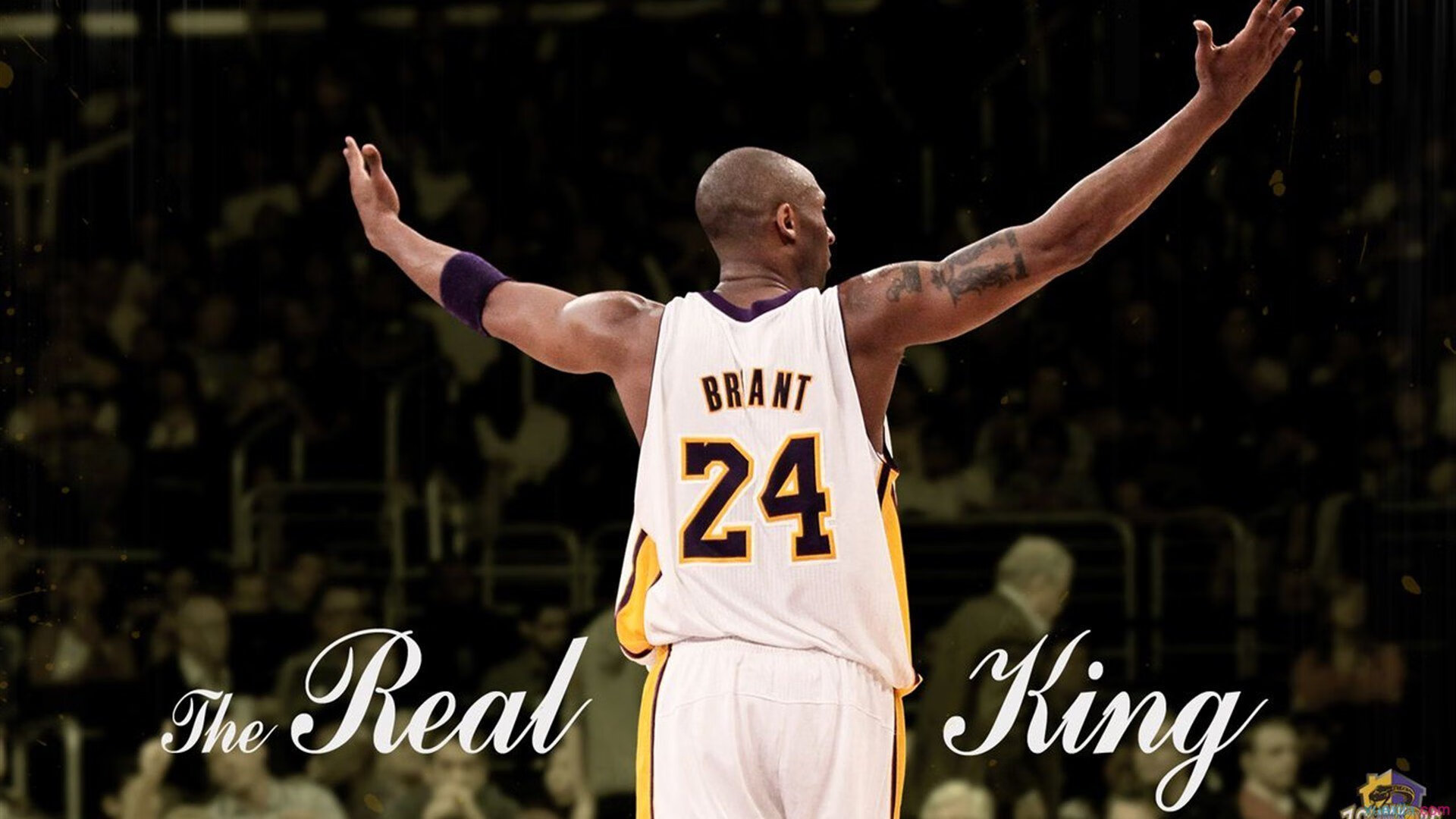 活塞法则，F1年度争冠焦点战启示录，浙江队如何被掀翻